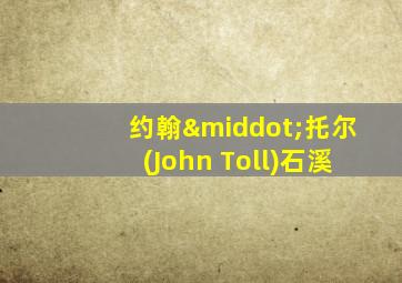 约翰·托尔(John Toll)石溪